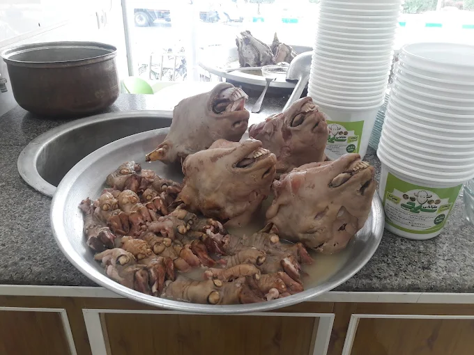 طباخی سید یکی از مشهورترین طباخی کاشان